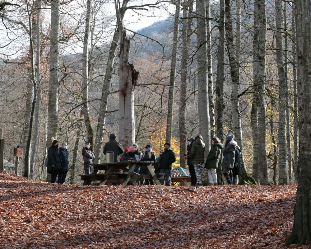 Yedigöller Milli Parkı'nı son iki ayda yaklaşık 100 bin kişi ziyaret etti - Sayfa 17