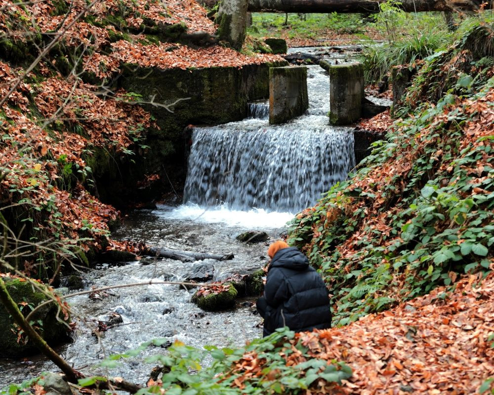 Yedigöller Milli Parkı'nı son iki ayda yaklaşık 100 bin kişi ziyaret etti - Sayfa 18