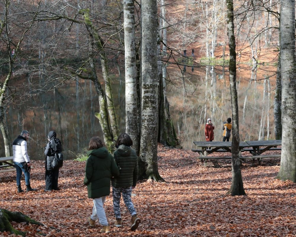 Yedigöller Milli Parkı'nı son iki ayda yaklaşık 100 bin kişi ziyaret etti - Sayfa 19