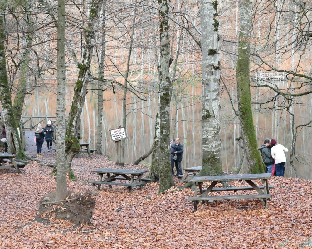 Yedigöller Milli Parkı'nı son iki ayda yaklaşık 100 bin kişi ziyaret etti - Sayfa 20