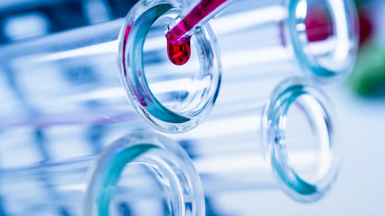 Covid-19'un yeni mutasyonunun adı Omicron oldu! İşte Omicron ile ilgili bilinenler - Sayfa 7