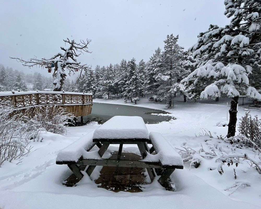 Gümüşhane'deki doğa harikası Limni Gölü Tabiat Parkı'ndan eşsiz kar görüntüleri - Sayfa 7