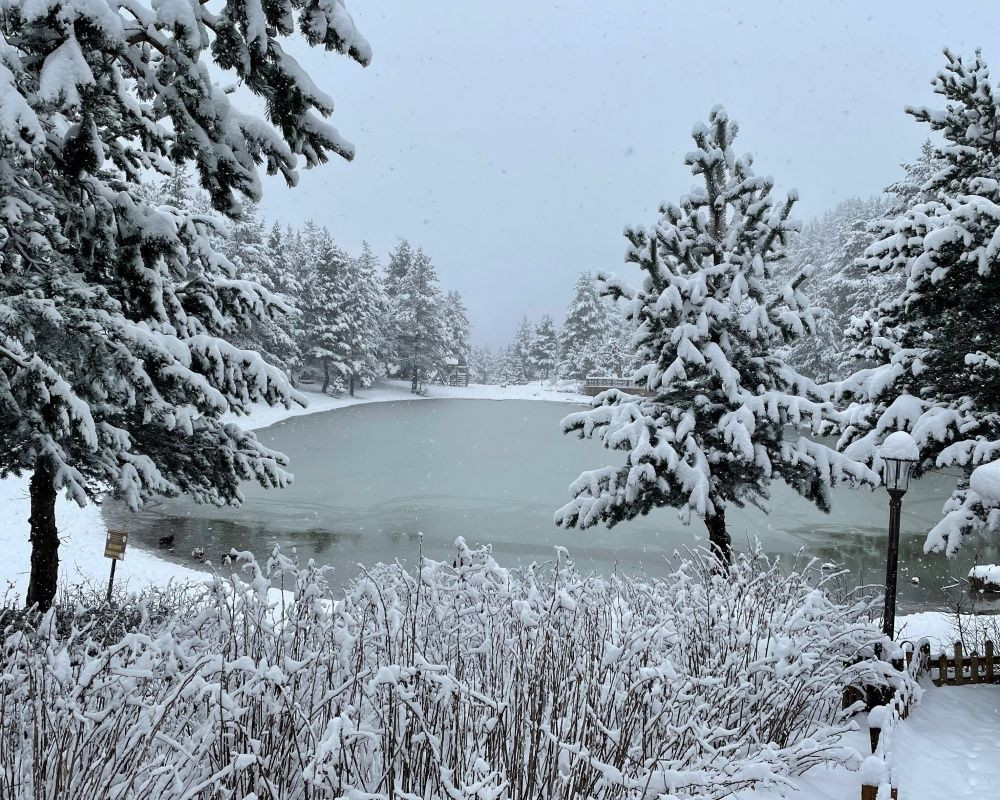 Gümüşhane'deki doğa harikası Limni Gölü Tabiat Parkı'ndan eşsiz kar görüntüleri - Sayfa 8
