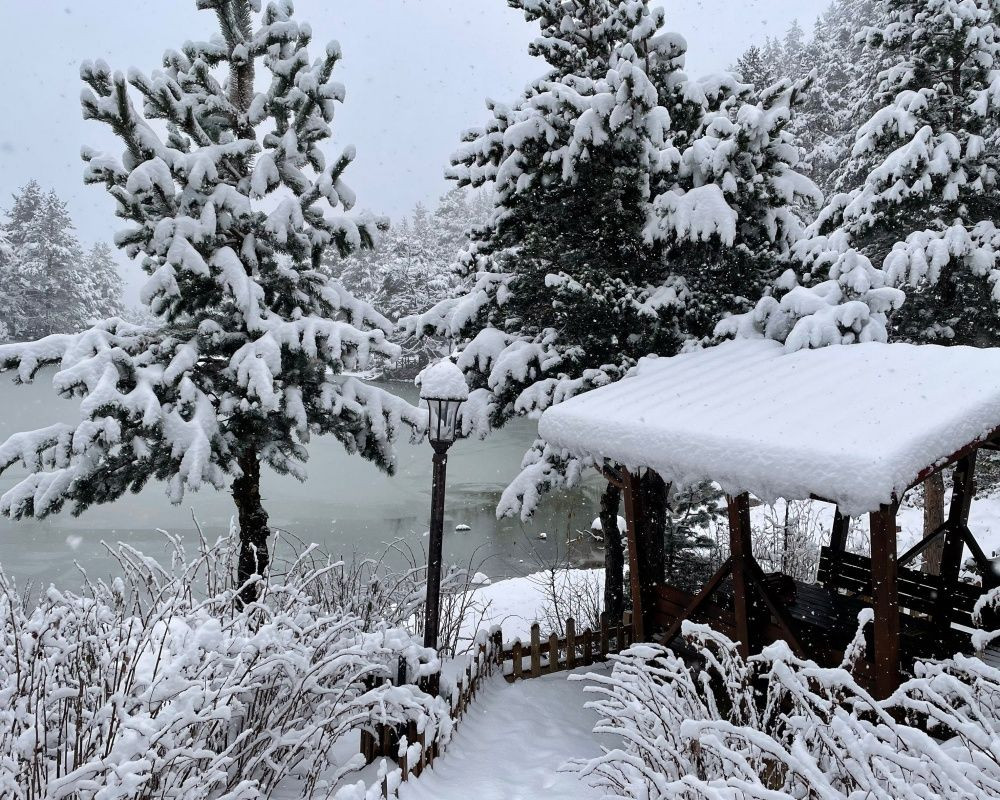Gümüşhane'deki doğa harikası Limni Gölü Tabiat Parkı'ndan eşsiz kar görüntüleri - Sayfa 9