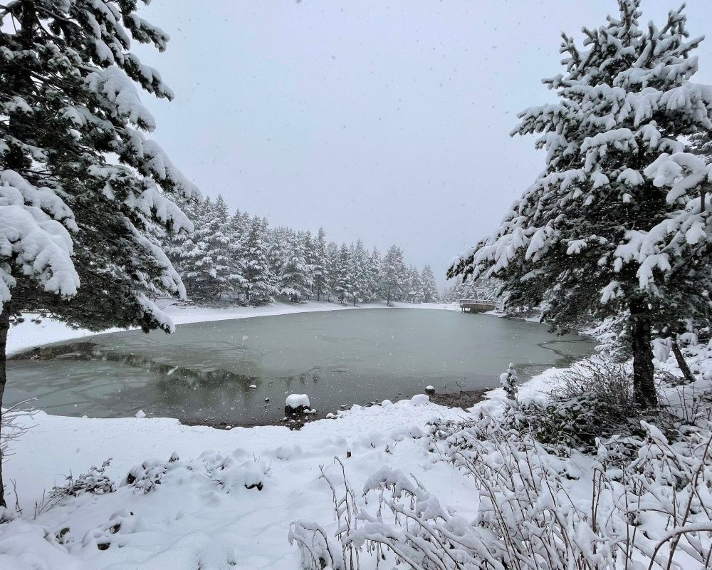 Gümüşhane'deki doğa harikası Limni Gölü Tabiat Parkı'ndan eşsiz kar görüntüleri - Sayfa 10