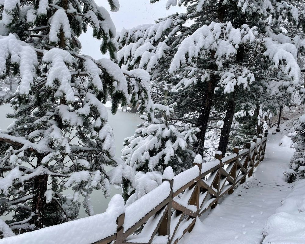 Gümüşhane'deki doğa harikası Limni Gölü Tabiat Parkı'ndan eşsiz kar görüntüleri - Sayfa 12