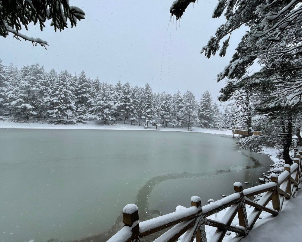 Gümüşhane'deki doğa harikası Limni Gölü Tabiat Parkı'ndan eşsiz kar görüntüleri - Sayfa 13