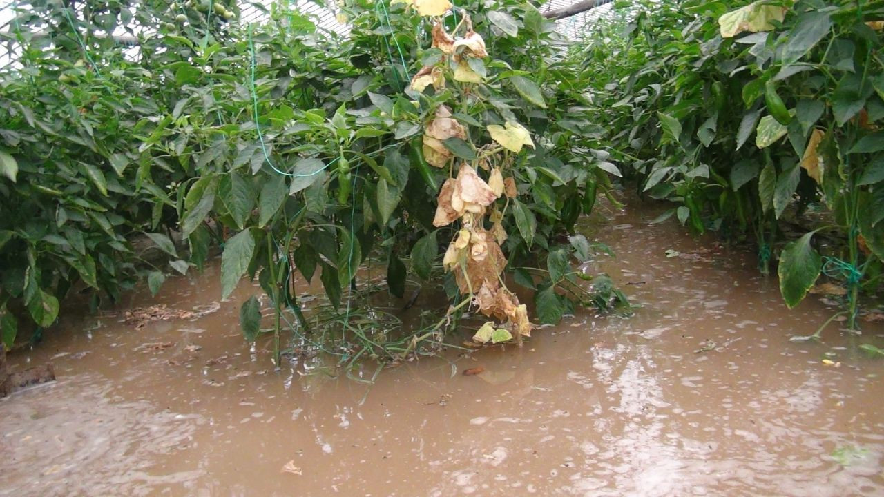 Hortum, fırtına ve sağanak Antalya'yı savaş alanına çevirdi! - Sayfa 5