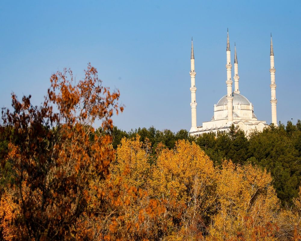 Medeniyetler şehri Diyarbakır'dan eşsiz sonbahar manzaraları - Sayfa 12