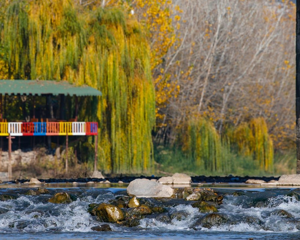 Medeniyetler şehri Diyarbakır'dan eşsiz sonbahar manzaraları - Sayfa 13