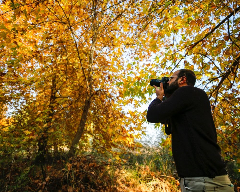 Medeniyetler şehri Diyarbakır'dan eşsiz sonbahar manzaraları - Sayfa 16