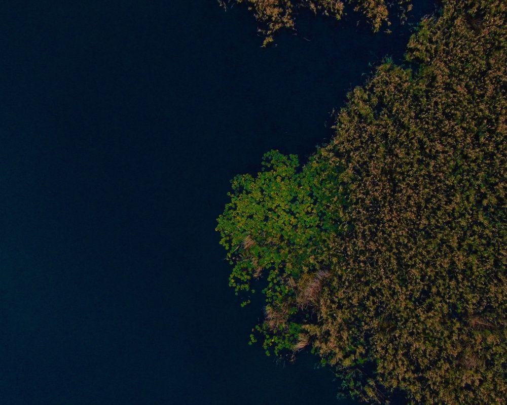 Düzce'deki Efteni Gölü düğün fotoğrafçılarının uğrak yeri oldu - Sayfa 8