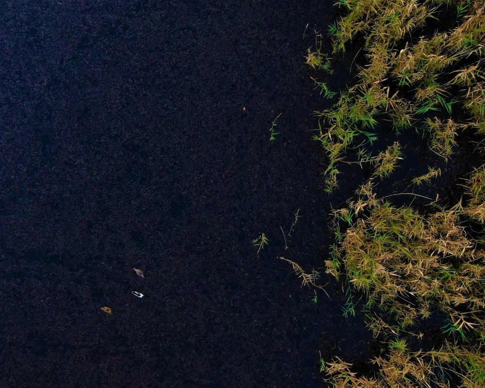 Düzce'deki Efteni Gölü düğün fotoğrafçılarının uğrak yeri oldu - Sayfa 9