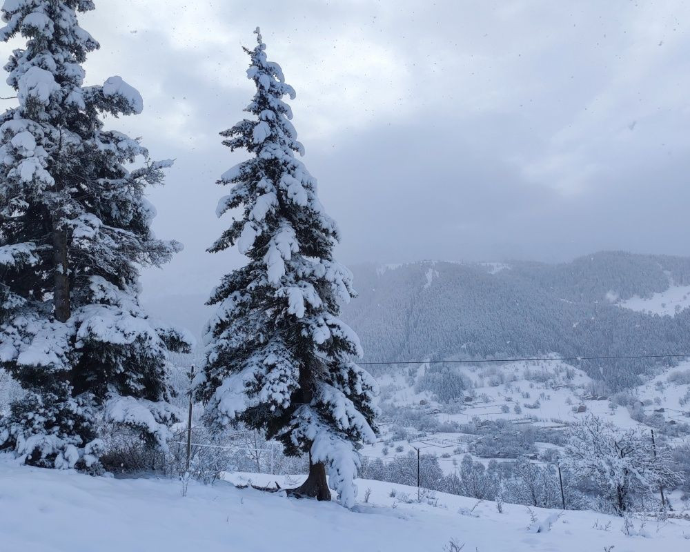 Artvin'deki doğa harikası 'sakin şehir' ünvanlı Şavşat beyaza büründü - Sayfa 8