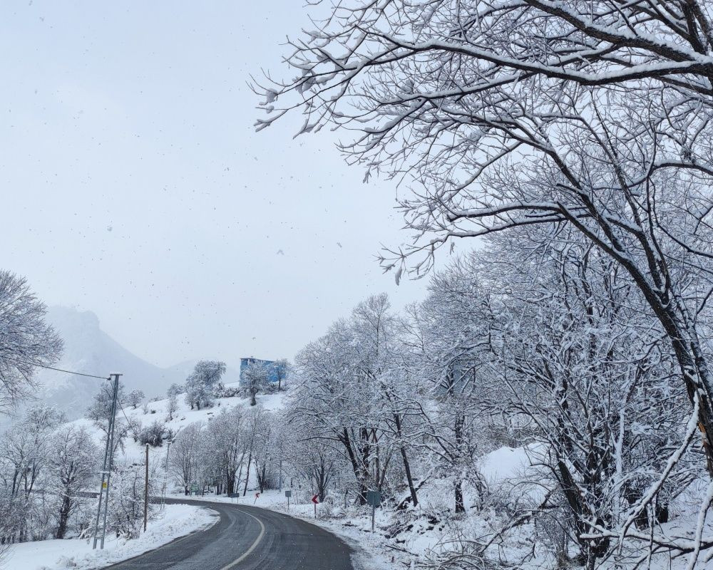 Artvin'deki doğa harikası 'sakin şehir' ünvanlı Şavşat beyaza büründü - Sayfa 10