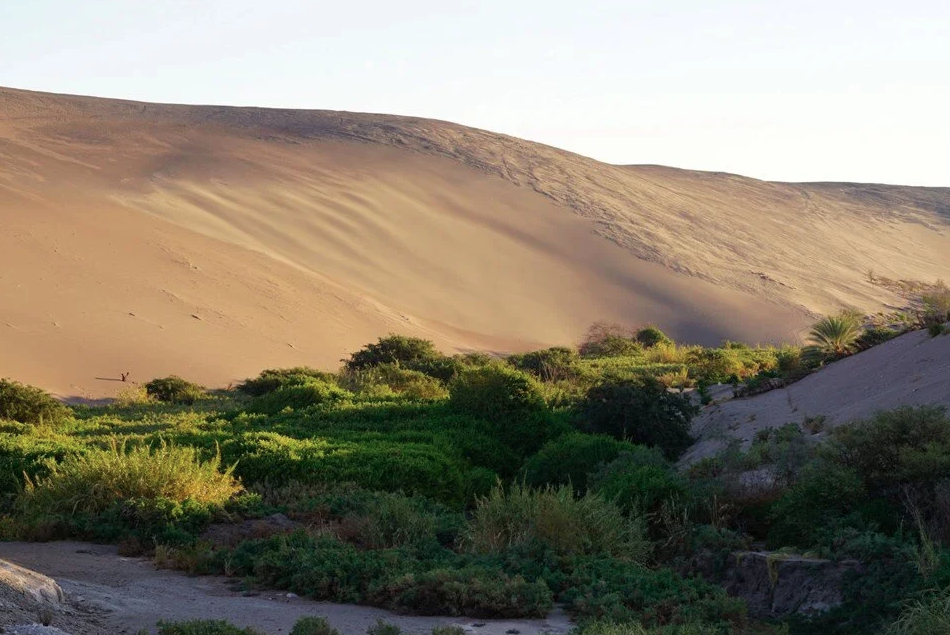 Birleşmiş Milletler açıkladı: Dünya turizminin en iyi iki köyü Türkiye'de - Sayfa 25