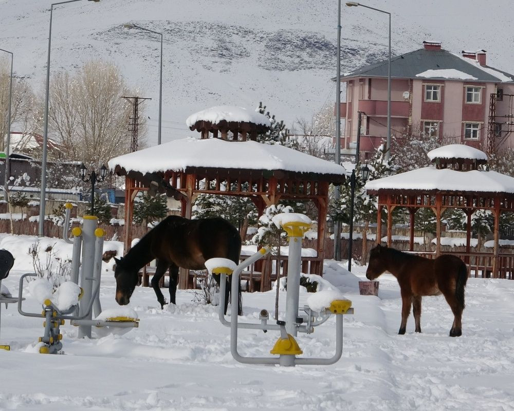 Ardahan'da kar yağışı sonrası kartpostallık görüntüler oluştu - Sayfa 5