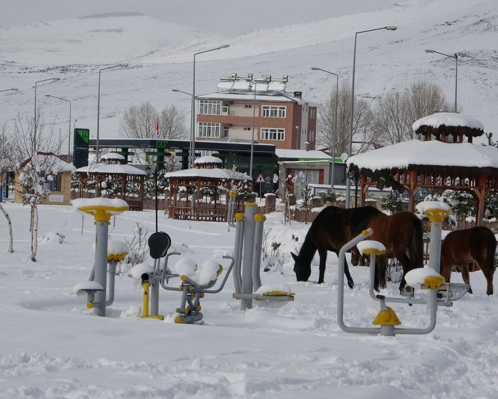 Ardahan'da kar yağışı sonrası kartpostallık görüntüler oluştu - Sayfa 7