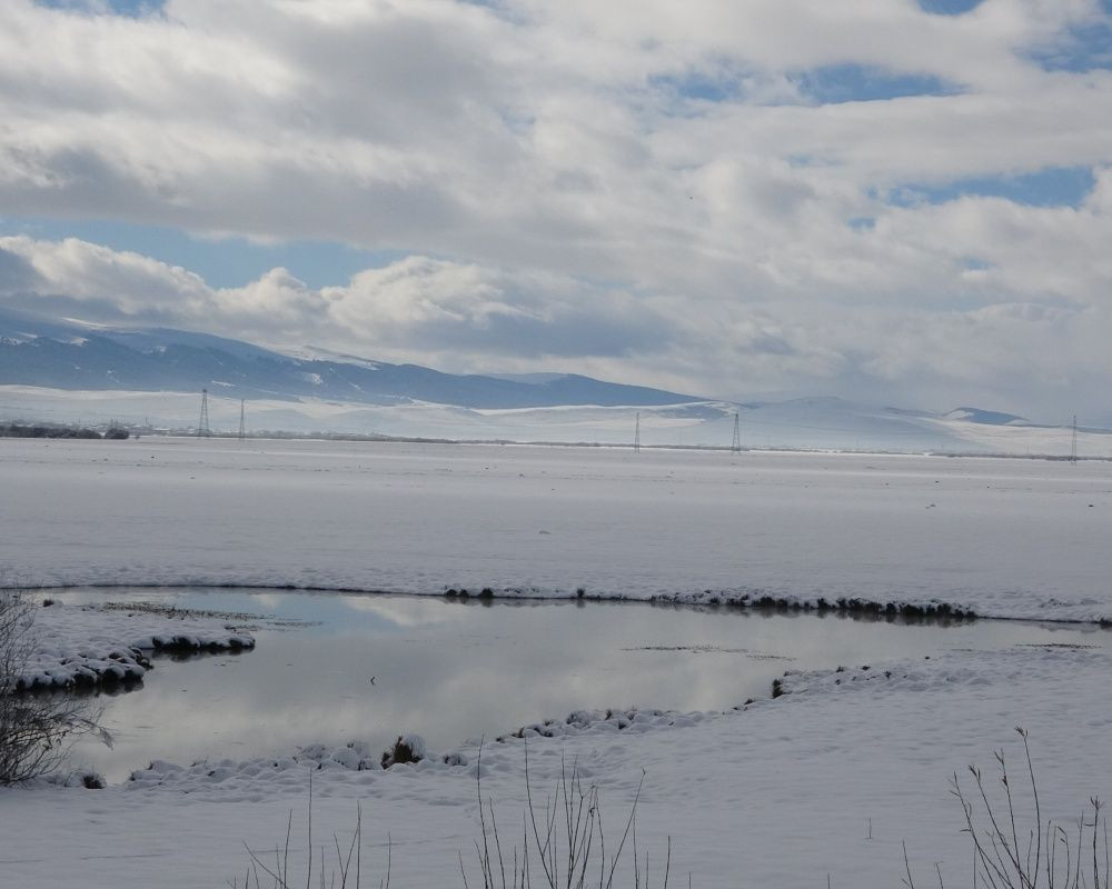 Ardahan'da kar yağışı sonrası kartpostallık görüntüler oluştu - Sayfa 8