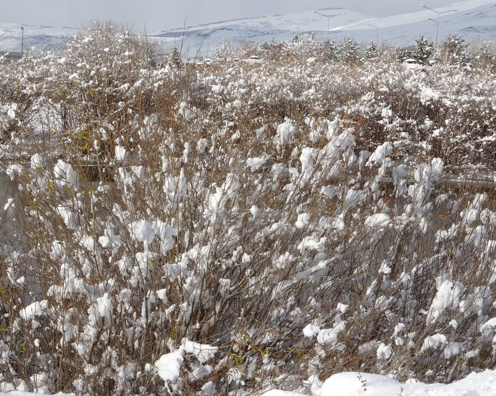 Ardahan'da kar yağışı sonrası kartpostallık görüntüler oluştu - Sayfa 13