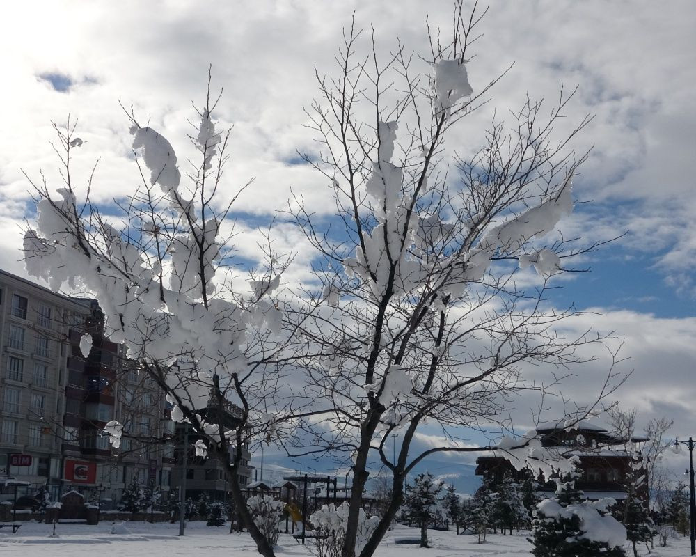 Ardahan'da kar yağışı sonrası kartpostallık görüntüler oluştu - Sayfa 15