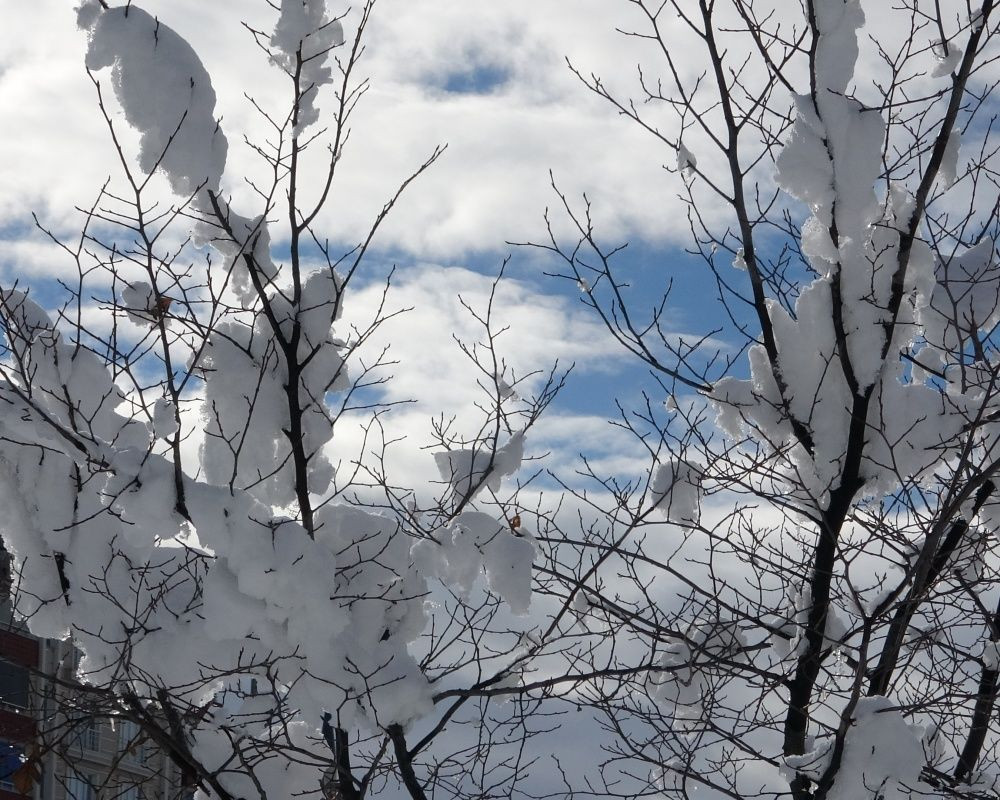 Ardahan'da kar yağışı sonrası kartpostallık görüntüler oluştu - Sayfa 16