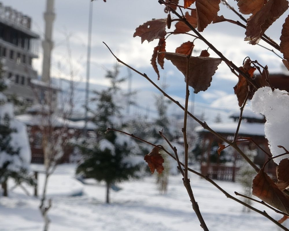 Ardahan'da kar yağışı sonrası kartpostallık görüntüler oluştu - Sayfa 21