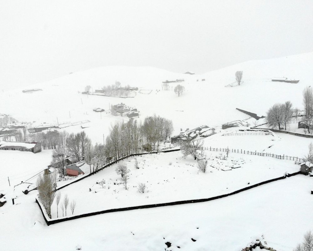 Muş’ta kar kalınlığı 60 santimetreye ulaştı... 1600 rakımlı Yukarıyongalı köyü kara gömüldü - Sayfa 19
