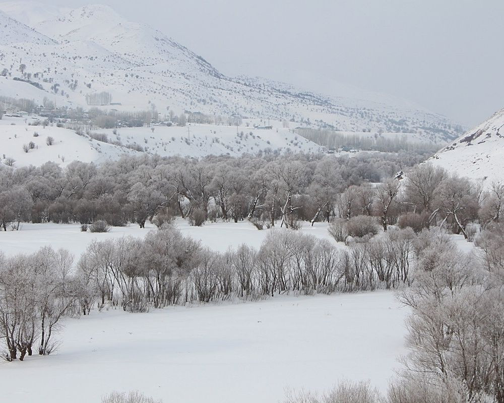 Bingöl'de hava sıcaklığı eski 22 dereceye düştü! Göz kamaştıran kar manzaraları ortaya çıktı - Sayfa 7