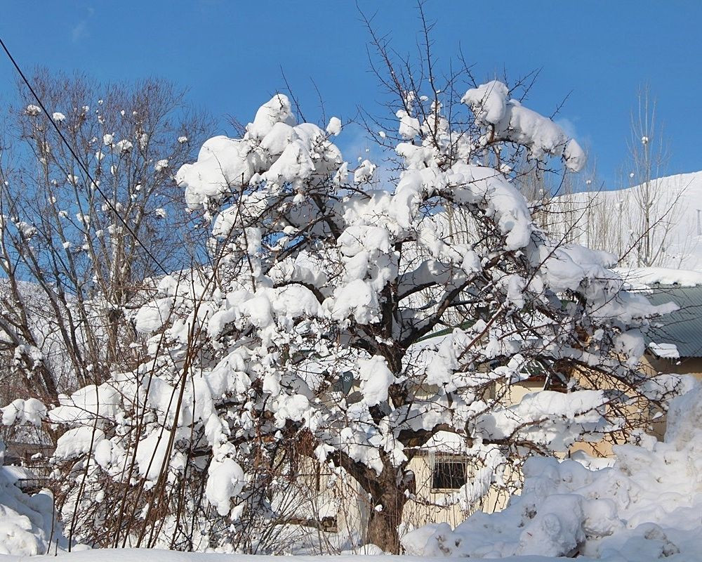 Bingöl'de hava sıcaklığı eski 22 dereceye düştü! Göz kamaştıran kar manzaraları ortaya çıktı - Sayfa 13