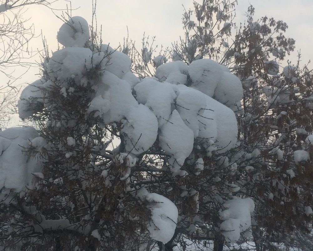 Bingöl'de hava sıcaklığı eski 22 dereceye düştü! Göz kamaştıran kar manzaraları ortaya çıktı - Sayfa 29