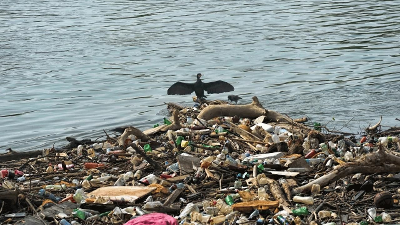 Çevreyi kirletenlere 2022'de verilecek cezalar belirlendi - Sayfa 6