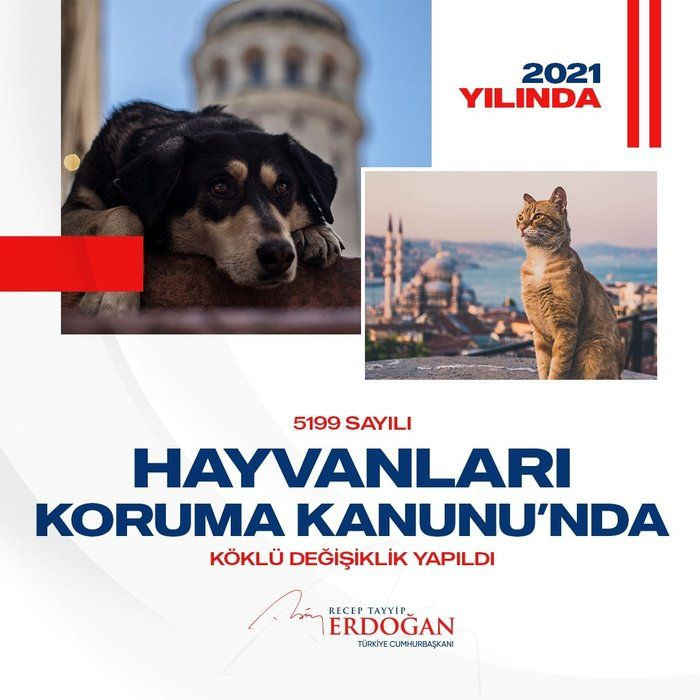 Cumhurbaşkanı Erdoğan, "2021 yılında da durmadık, yola devam dedik" sözleriyle paylaştı - Sayfa 13