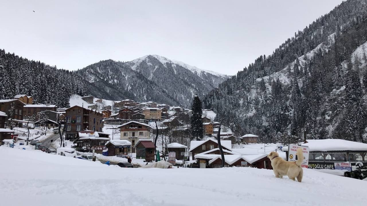 Ordu ve Giresun’da 5 ilçede okullar kar nedeniyle tatil edildi - Sayfa 5