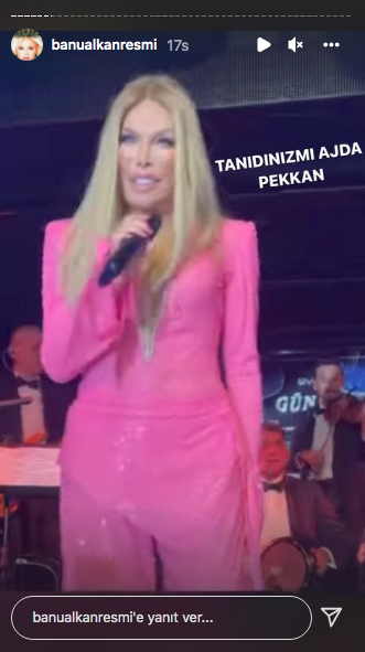 Yılbaşı akşamı konser veren Ajda Pekkan'ın yeni imajı ve yüzündeki değişim olay oldu - Sayfa 8