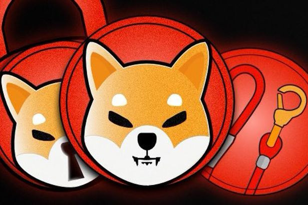 Shiba Coin Dünyayı Ayağa Kaldıracak Metaverse Kararını Açıkladı! - Sayfa 5