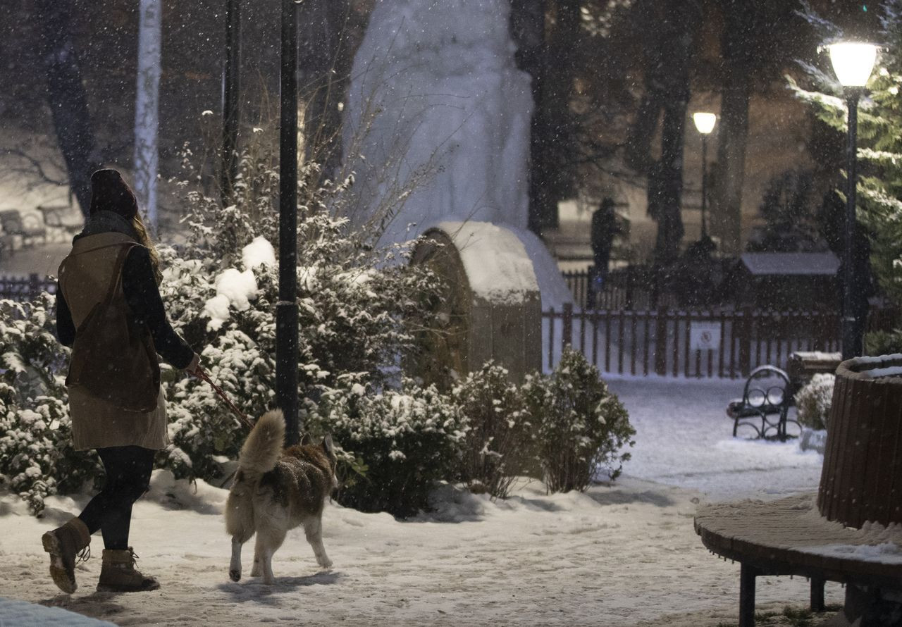 Ankara'da kar etkili oldu, Kuğulu Park'taki fıskiyeler bile dondu - Sayfa 7