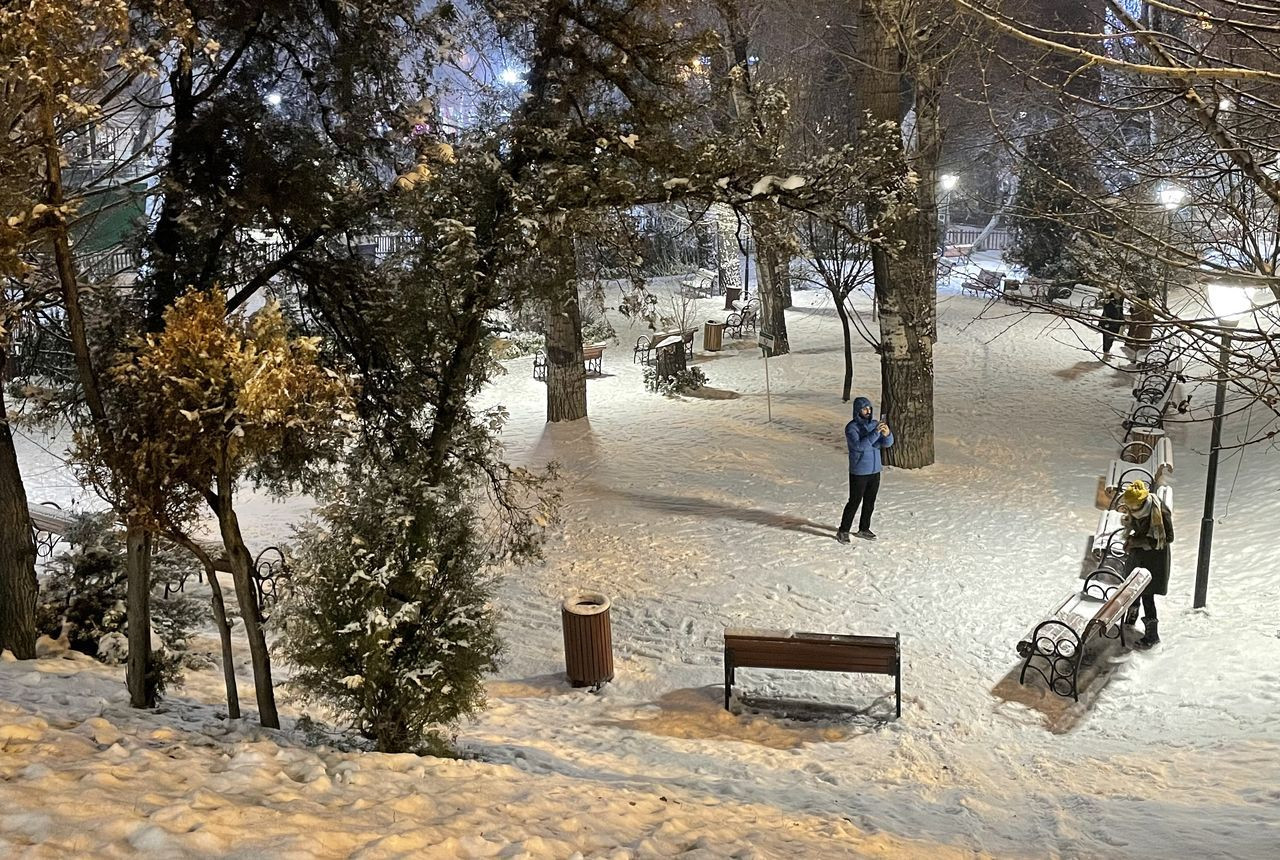 Ankara'da kar etkili oldu, Kuğulu Park'taki fıskiyeler bile dondu - Sayfa 17