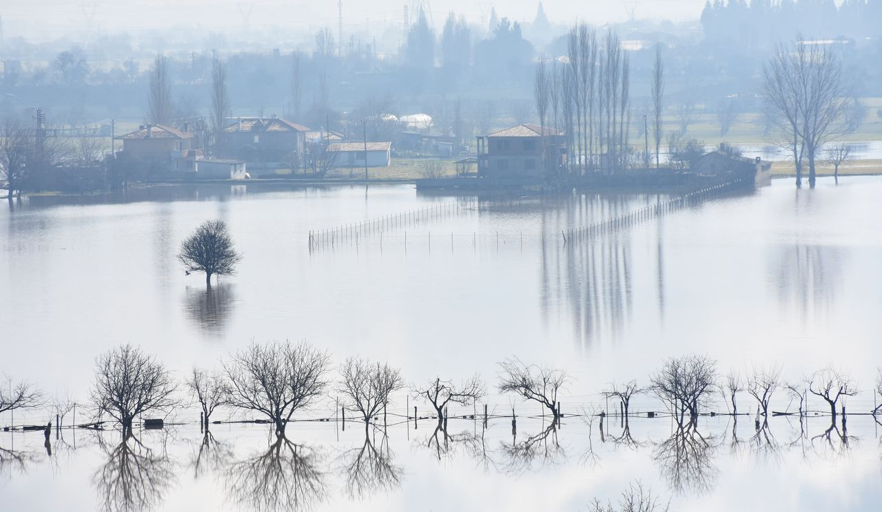 Muğla'da sağanak felaket getirdi, tarım alanları sular altında kaldı - Sayfa 7