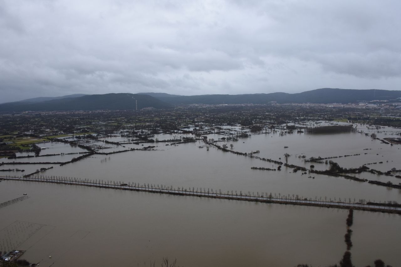 Muğla'da sağanak felaket getirdi, tarım alanları sular altında kaldı - Sayfa 13