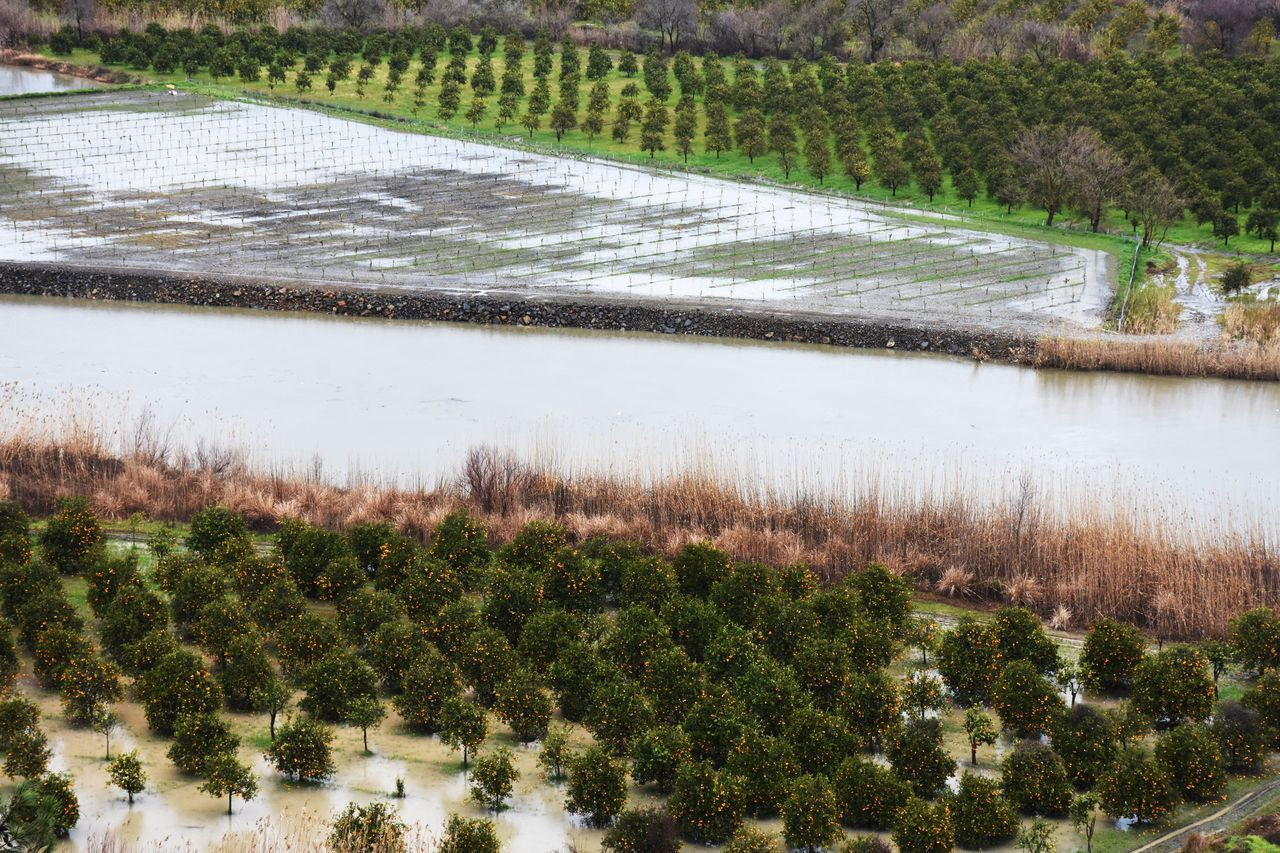 Muğla'da sağanak felaket getirdi, tarım alanları sular altında kaldı - Sayfa 26
