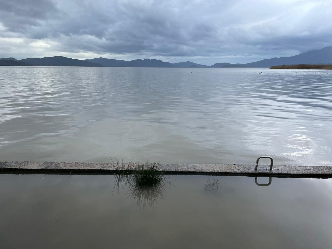 Muğla'da sağanak felaket getirdi, tarım alanları sular altında kaldı - Sayfa 30