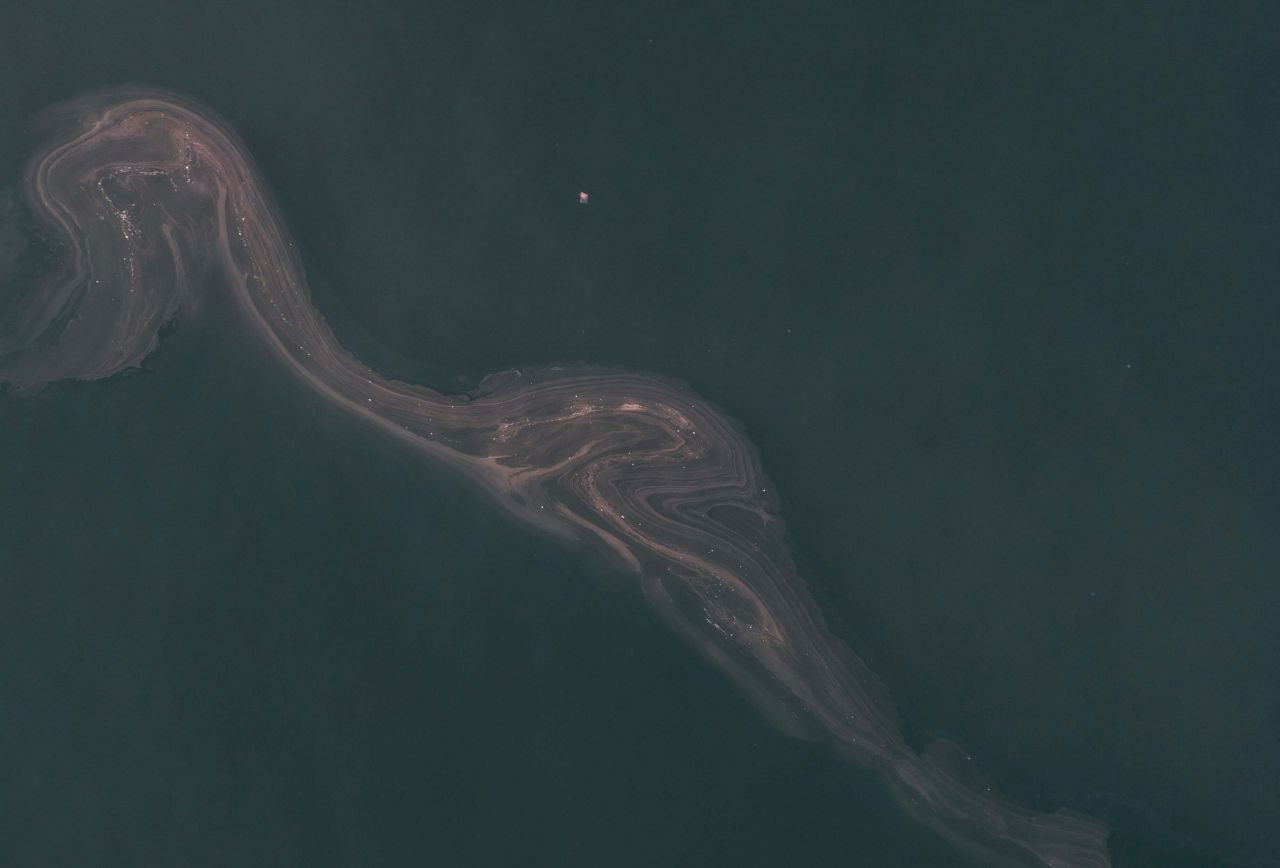 Kabus geri döndü! İstanbul'da müsilaj yeniden ortaya çıktı... - Sayfa 8