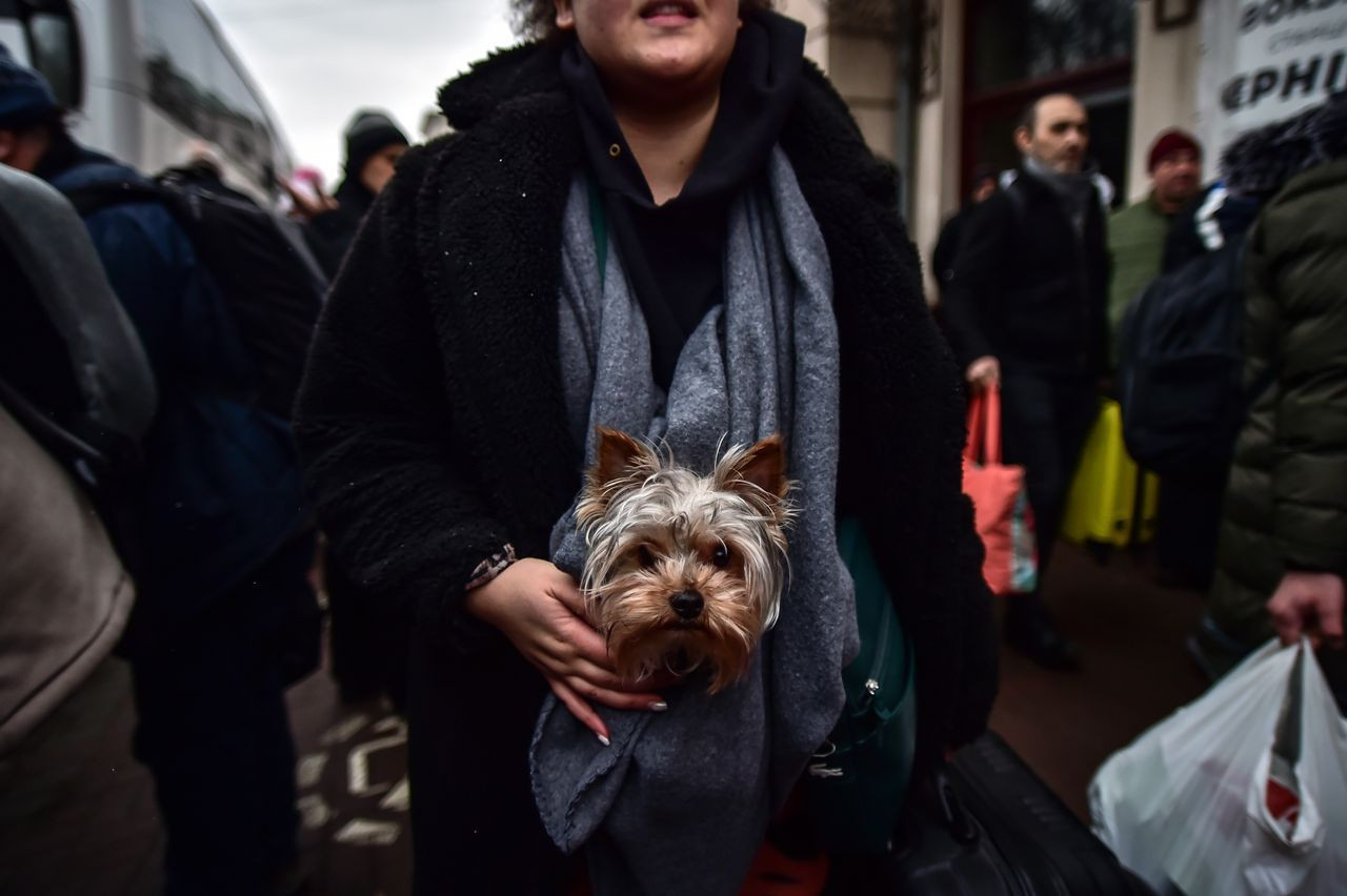 Türk vatandaşlarını taşıyan tahliye treni Çernihiv’e ulaştı! - Sayfa 8