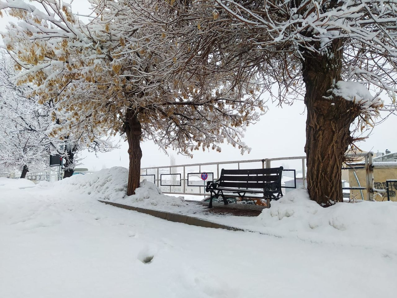 Eğitime kar engeli! 4 Mart Cuma günü bu illerde okullar tatil - Sayfa 6