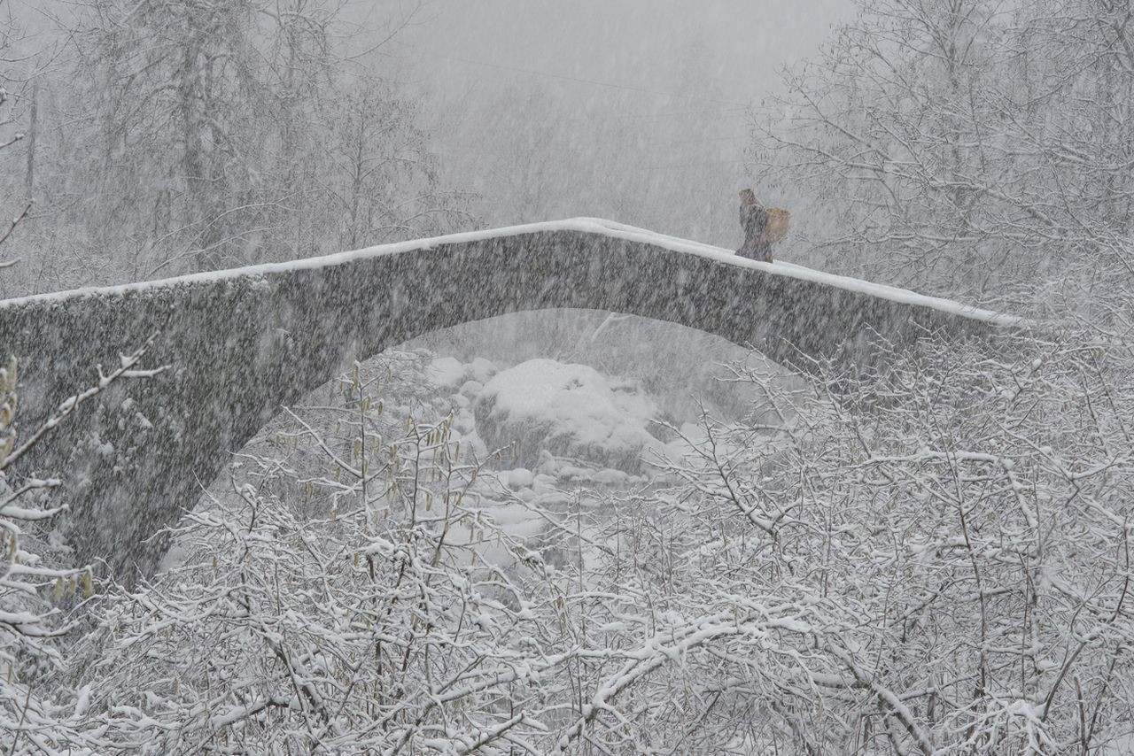Çevre felaketleri, Yılın Basın Fotoğrafları Ödülleri'ne damga vurdu - Sayfa 27