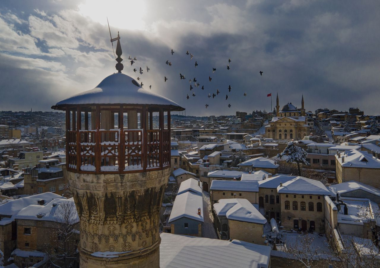 Çevre felaketleri, Yılın Basın Fotoğrafları Ödülleri'ne damga vurdu - Sayfa 28