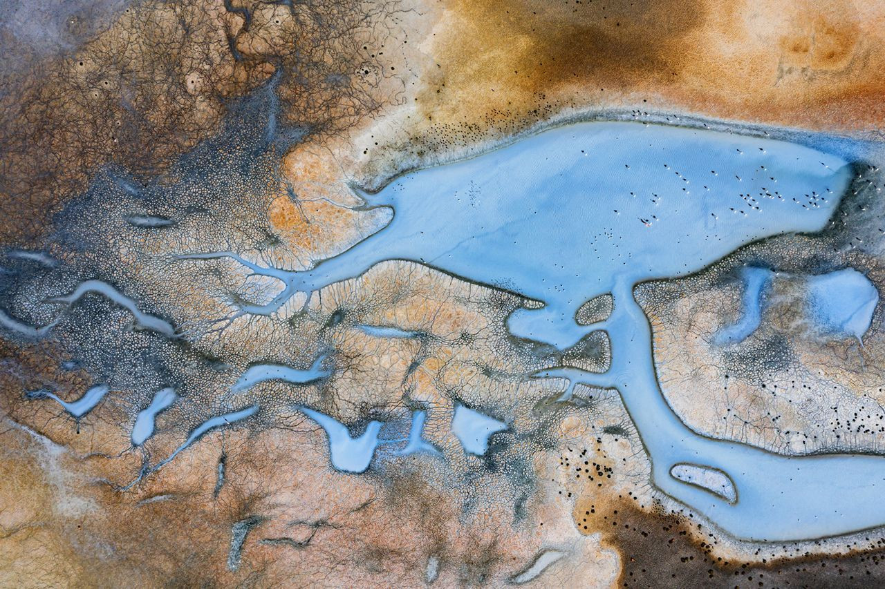 Çevre felaketleri, Yılın Basın Fotoğrafları Ödülleri'ne damga vurdu - Sayfa 29