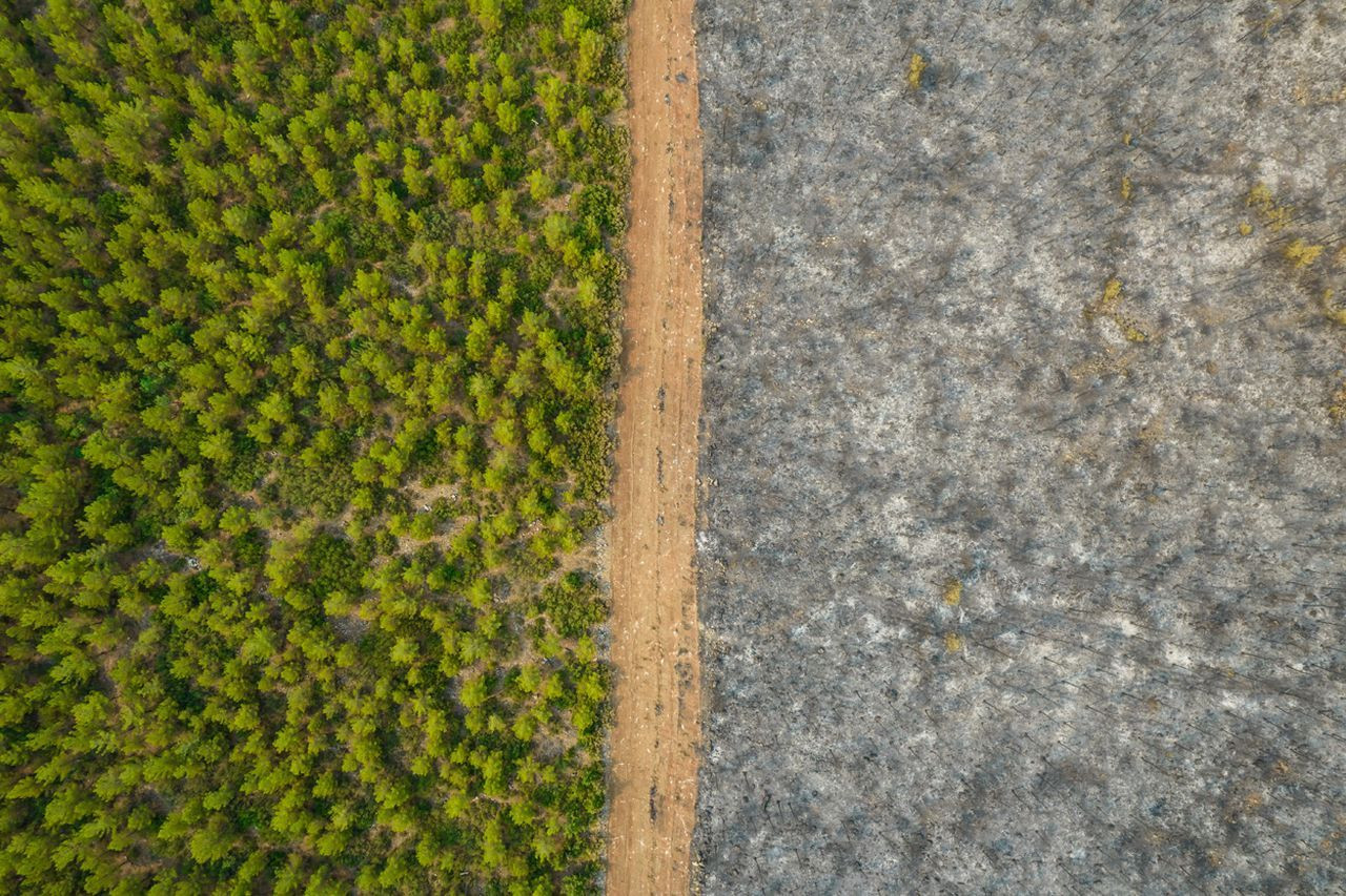 Çevre felaketleri, Yılın Basın Fotoğrafları Ödülleri'ne damga vurdu - Sayfa 9