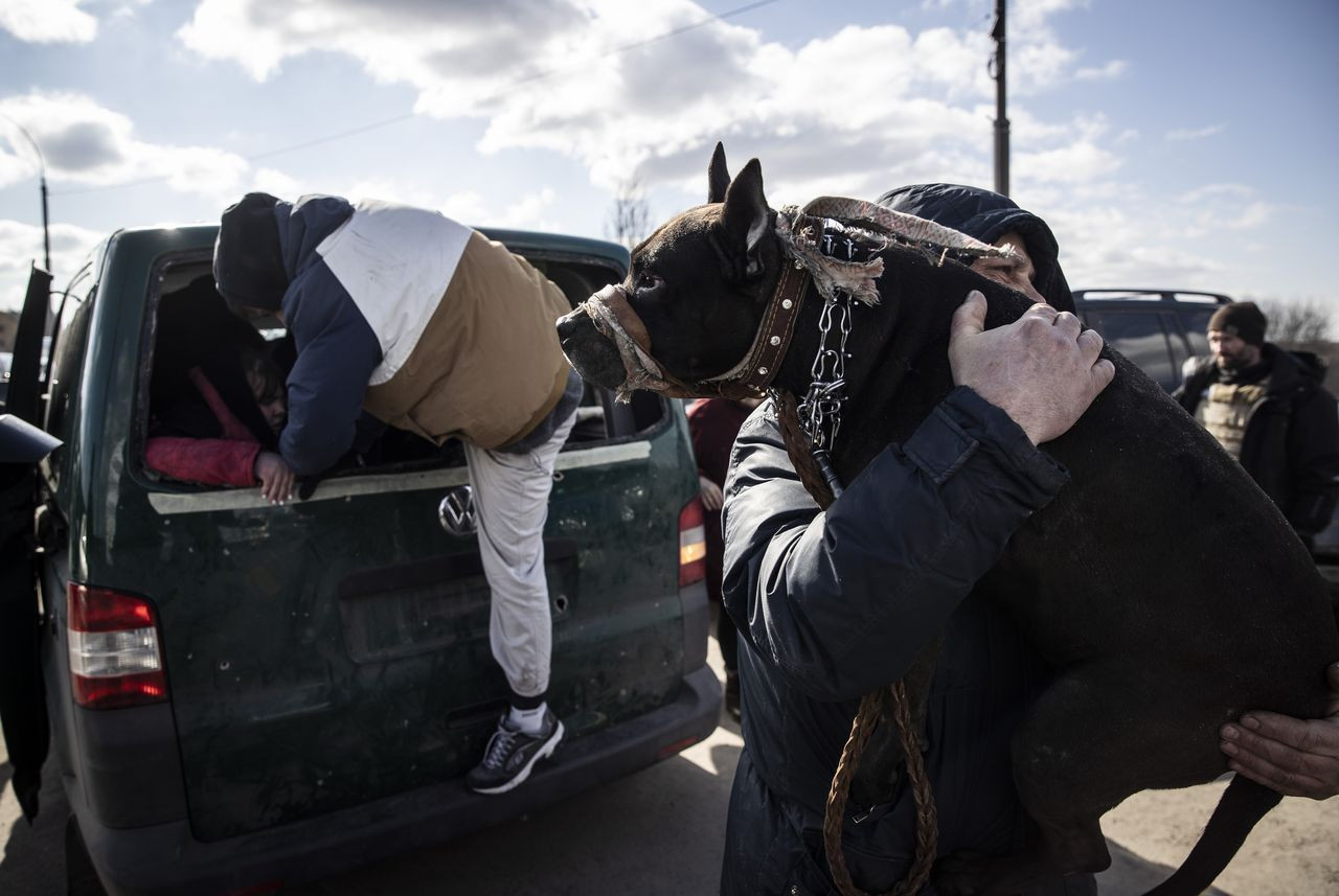 Savaşın kasıp kavurduğu Ukrayna'da sivillerin tahliyesi sürüyor - Sayfa 18